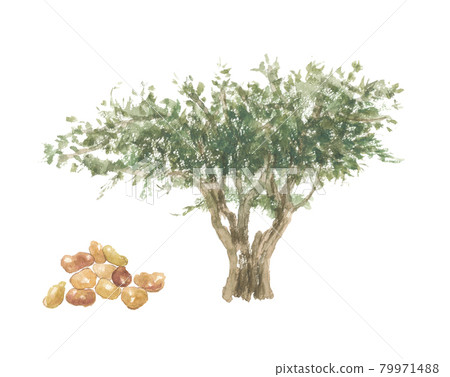 新Koju乳香乳香樹脂 新Koju乳香乳香樹脂 79971488