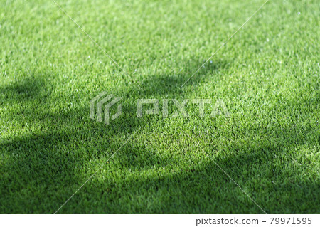 草坪 79971595