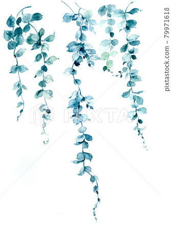  色彩豐富的花卉素材組合和設計元素 79971618