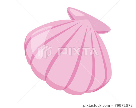 貝殼 2 夏季功能圖標/插圖素材 79971872