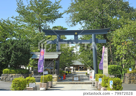 東京都世田谷區若林松陰神社 79972028