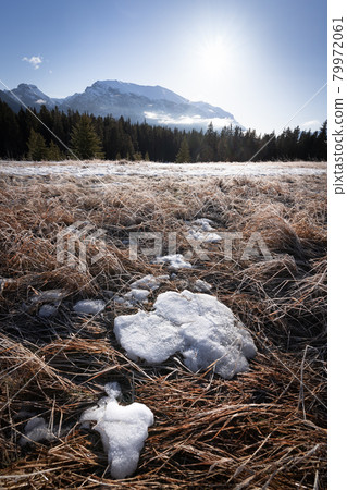 Last touch of winter in Canadian Rockies, portrait shot made around Quarry Lake, Canmore, Alberta, Canada 79972061