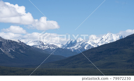 Simple alpine scenery with forest in foreground and snowy peaks in background, shot on a sunny blue skies day at Lake Louise, Banff National Park Simple alpine scenery with forest in foreground and snowy peaks in background, shot on a sunny blue skies day at Lake Louise, Banff National Park 79972230