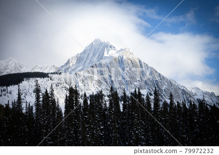 Snowy mountain with trees framing it at the bottom, shot in Banff National Park, Alberta, Canada Snowy mountain with trees framing it at the bottom, shot in Banff National Park, Alberta, Canada 79972232