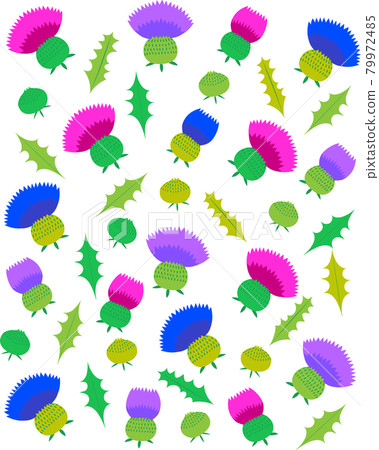 Colorful thistle flowers and buds, leaf background illustration Colorful thistle flowers and buds, leaf background illustration 79972485