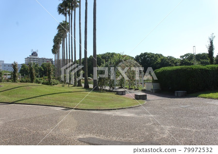 大阪市永井植物園的清新綠景 大阪市永井植物園的清新綠景 79972532