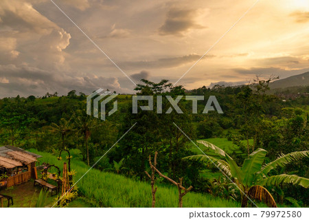Bali Jatiluwih Landscape 79972580