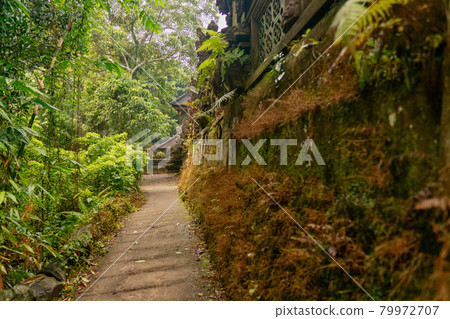 Scenery of the walking path in Ubud, Bali Scenery of the walking path in Ubud, Bali 79972707