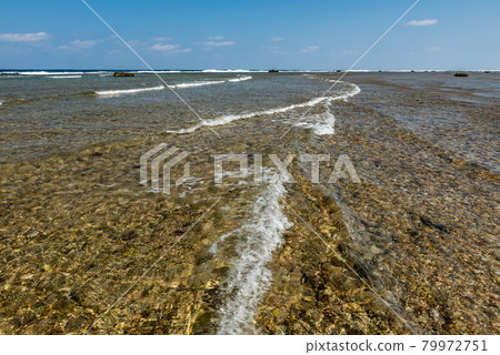 Rising tide with small sea waves passing over corals. Iriomote Island. 79972751