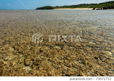Sea view of a shallow clear sea with a bright surface, secluded beach in the background. Iriomote Island. 79972752