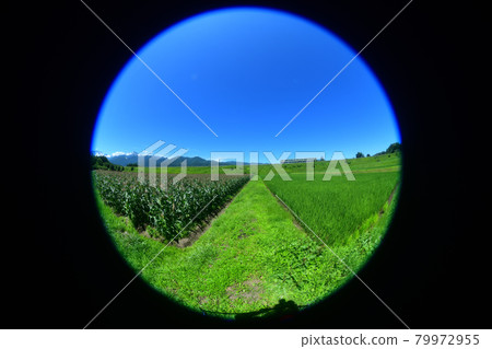 Kobuchisawa-cho, Hokuto-shi, Koumi Line ordinary train going to the embankment (background is Kaikoma in the Southern Alps) 79972955