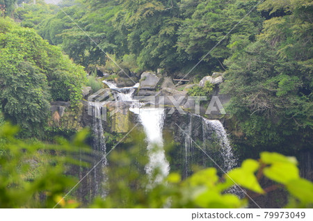 Shiraito Falls（靜岡縣富士宮市Uenoide） 79973049