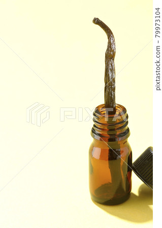 香氣瓶和香草豆 79973104