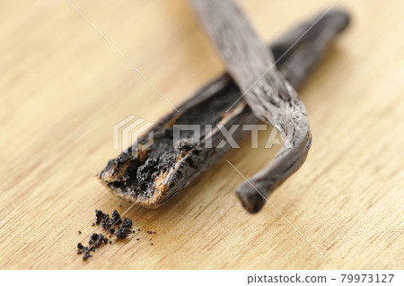 Vanilla beans spilling from the pod 79973127