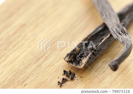 Vanilla beans spilling from the pod 79973128