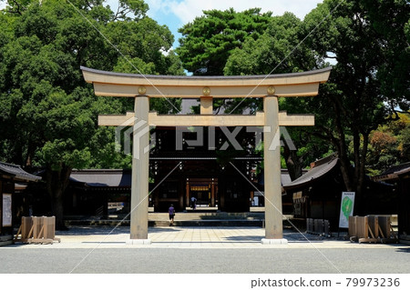 Torii in front of the main shrine of Meiji Jingu 79973236