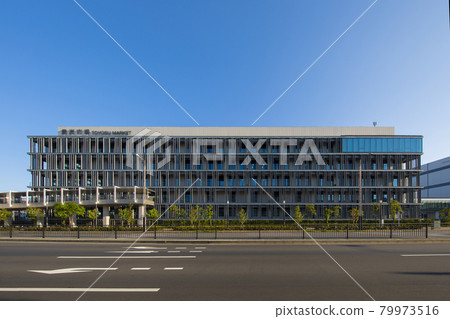 Toyosu Market 79973516