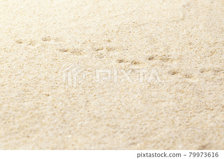 夏日沙灘腳印 79973616