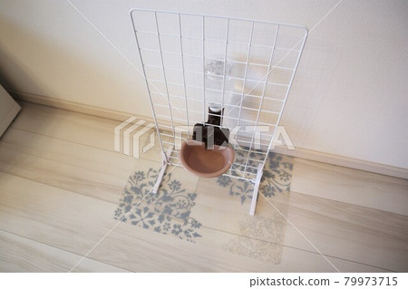 用100日元的物品DIY一個狗飲水架 79973715