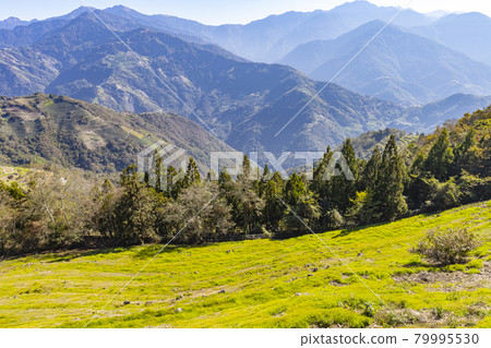 Mountain view of Cingjing Farm Skywalk in Nantou 79995530
