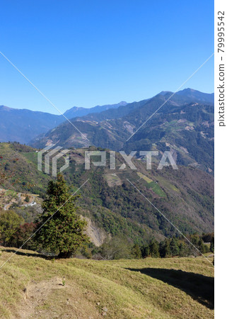 Mountain view of Cingjing Farm Skywalk in Nantou Mountain view of Cingjing Farm Skywalk in Nantou 79995542