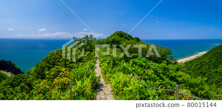 【全景】從山中眺望海岸（新潟縣西關區角田山） 80015144