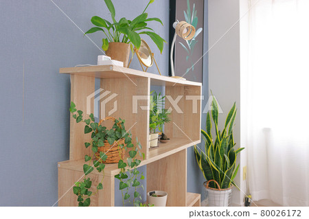 帶觀葉植物的架子 _ 對角線 帶觀葉植物的架子 _ 對角線 80026172