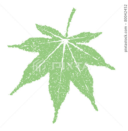 Summer tradition stamp illustrations that can be used for summer and lingering summer heat / autumn leaves and maples 80042452