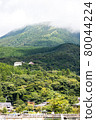 Mountain of Hakone 80044224