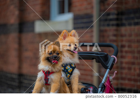 紅磚公園 80052316