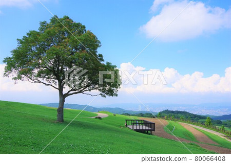 Awaji Hanasajiki, Awaji Island, Hyogo Prefecture (looking toward Kobe) Awaji Hanasajiki, Awaji Island, Hyogo Prefecture (looking toward Kobe) 80066408