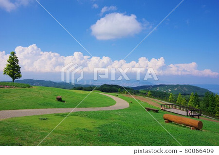 Awaji Hanasajiki, Awaji Island, Hyogo Prefecture (looking toward Kobe) Awaji Hanasajiki, Awaji Island, Hyogo Prefecture (looking toward Kobe) 80066409