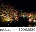 Autumn leaves at night 80068620