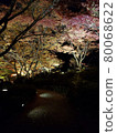 Autumn leaves at night 80068622