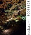 Autumn leaves at night 80068623