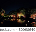 Autumn leaves on the surface of the water 80068640