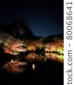 Autumn leaves on the surface of the water 80068641