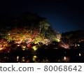 Autumn leaves on the surface of the water 80068642