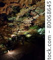 Autumn leaves road 80068645