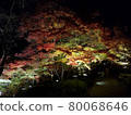 Autumn leaves 80068646