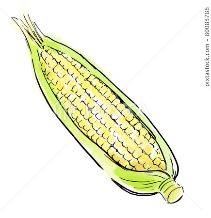 食品插圖玉米 80083788