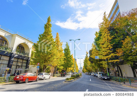 Platinum street in autumn Platinum street in autumn 80084988