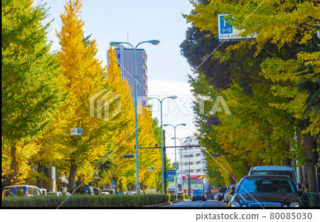 秋天的白金街 秋天的白金街 80085030