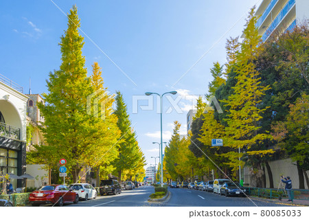 Platinum street in autumn Platinum street in autumn 80085033