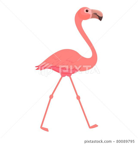 Flamingo walking icon cartoon vector. Pink bird Flamingo walking icon cartoon vector. Pink bird 80089795