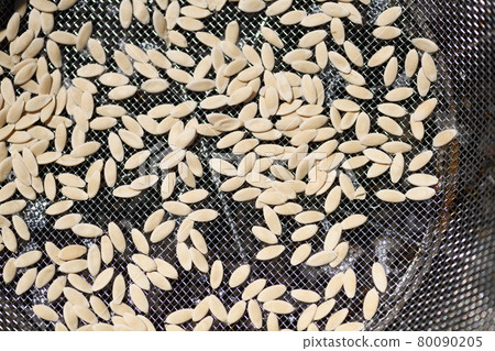 Sun-dried cucumber seeds 80090205