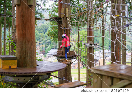 Activities in the forest Activities in the forest 80107109