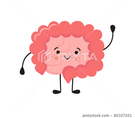 Happy kawaii character of small and large intestine. Human body internal organ of the gastrointestinal tract. Abstract bowels. Vector illustration isolated on white background Happy kawaii character of small and large intestine. Human body internal organ of the gastrointestinal tract. Abstract bowels. Vector illustration isolated on white background 80107201