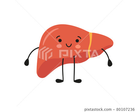 Healthy happy smiling cute liver character. Vector illustration Healthy happy smiling cute liver character. Vector illustration 80107236