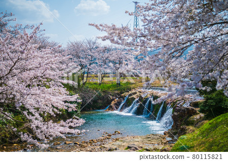 2021 年 4 月石川縣小松市布之島 Junigataki / Nishio 區 80115821